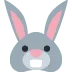 🐰