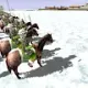 gg_gustavopavin